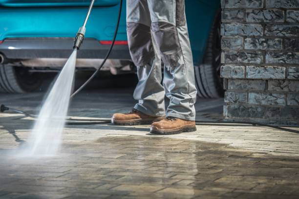 Best Gutter Cleaning  in Beach Haven, NJ