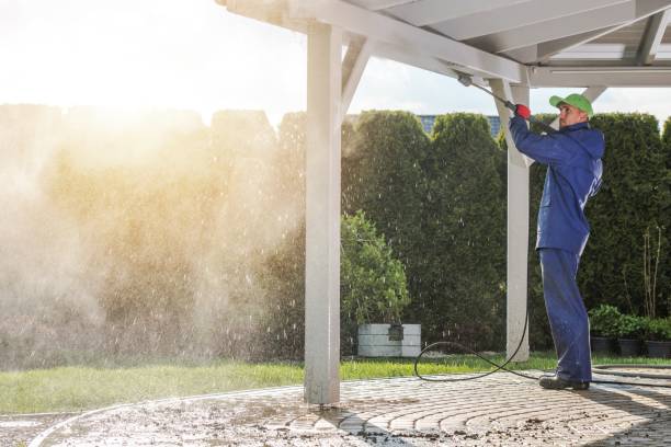Animal Enclosure Cleaning in Beach Haven, NJ